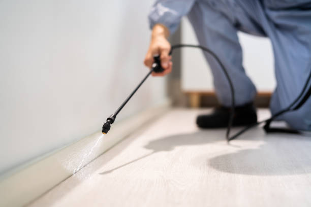 Licensed Termite Control service in University Park, IL - Nex Pest Control
