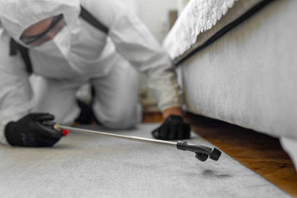 Professional Termite Control technician working in University Park, IL