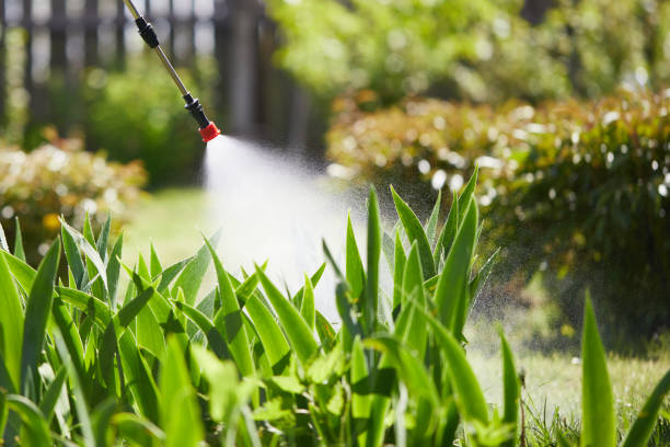 24/7 Emergency Termite Control experts in University Park, IL