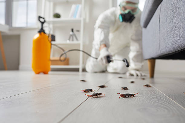 Trusted Cockroach Control service in University Park, IL - Nex Pest Control