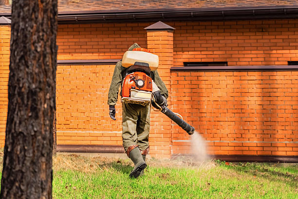 Trusted Rodent Control service in University Park, IL - Nex Pest Control
